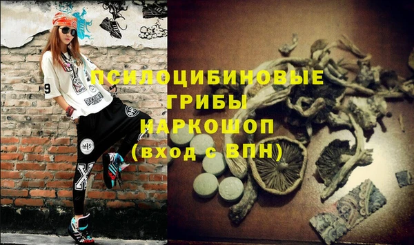 молекула духа Армянск
