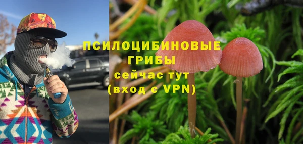 молекула духа Аркадак
